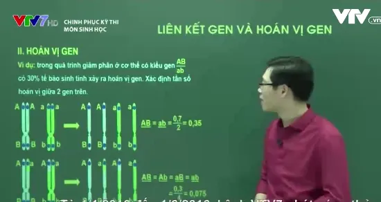 Ôn tập môn Sinh học: Liên kết gen và Hoán vị gen