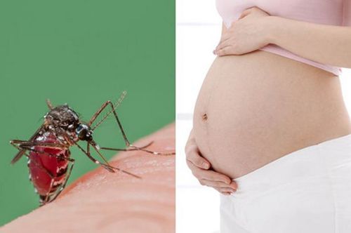 Lan rộng nỗi lo virus Zika tại nhiều quốc gia