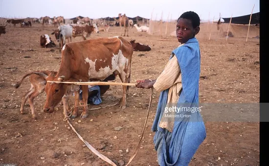 Cuộc chiến chống chế độ nô lệ tại Mauritania