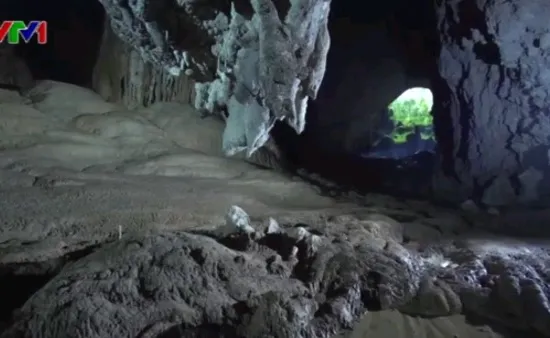 7 đại sứ tại Việt Nam tham gia tour khám phá Sơn Đoòng