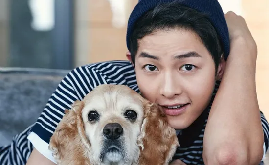 Song Joong Ki là ngôi sao phụ nữ Hàn "thèm muốn"