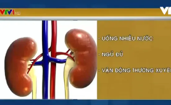 Cách phòng các bệnh liên quan đến thận