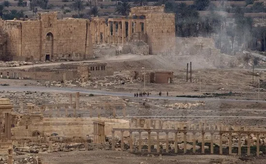 Mỹ lo ngại nhiều vũ khí quan trọng ở Palmyra rơi vào tay IS