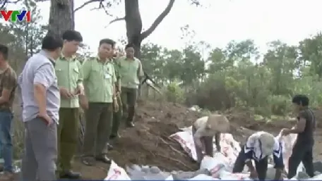 Vũng Tàu: Tiêu hủy hải sản sử dụng hàn the, formol