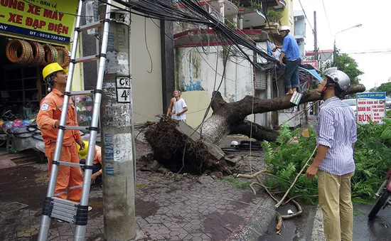 Cấp điện lại cho toàn tỉnh Thái Bình sau bão số 1