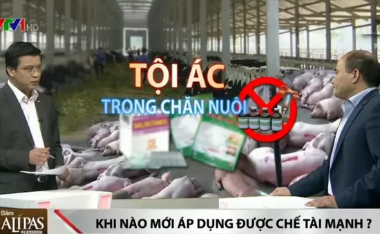 Sử dụng chất cấm trong chăn nuôi là tội ác và sẽ bị xử nặng