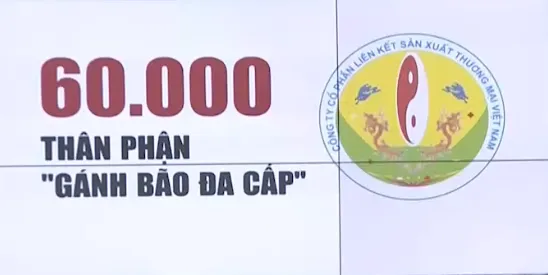 "Bão" đa cấp Liên kết Việt: Đằng sau nụ cười trừ và số phận của 60.000 con người