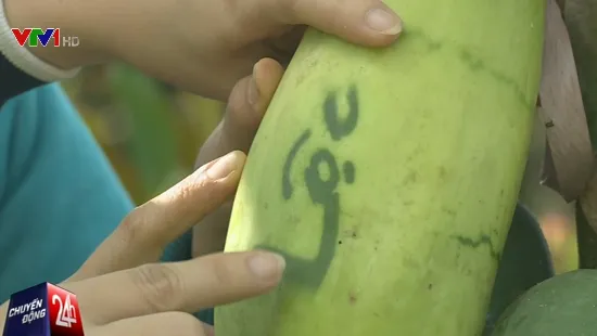 Đu đủ "Tài, Lộc, Phúc, Thọ": Giá cao ngất vẫn "cháy" hàng