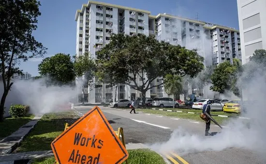 Lo ngại Zika, Bộ Giáo dục Malaysia hủy chuyến đi tới Singapore và Philippines