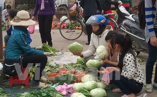 Rau xanh tăng giá mạnh không phải vì thiếu nguồn cung