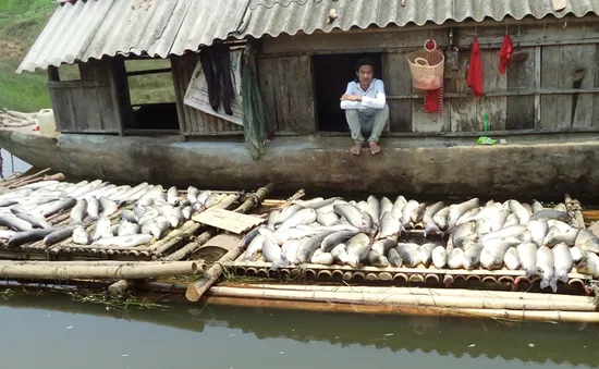 Vấn nạn ô nhiễm và nỗi lo “sống trong sợ hãi”