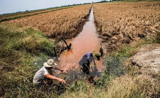 Hạn mặn gây tác động lâu dài đến phụ nữ và trẻ em