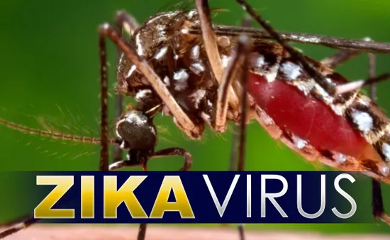 Bộ Y tế: Không nên hoang mang về việc phát hiện bệnh nhân Zika tại Phú Yên