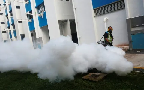 Số ca nhiễm Zika tăng cao, Singapore kêu gọi hợp tác khu vực