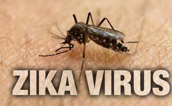 Thành lập Quỹ phòng chống Zika tại Việt Nam