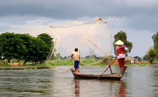 Nghề chài cá gắn bó với vùng sông nước miền Tây