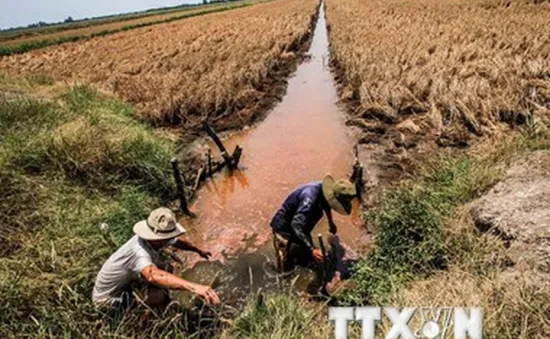 Khoa học công nghệ phát triển ĐBSCL cần đi sâu vào đời sống