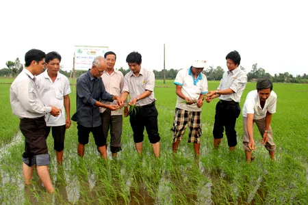 Sóc Trăng giúp Đảng viên thoát nghèo