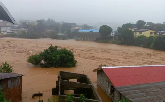 Lo ngại về dịch bệnh đi kèm thiên tai ở Sierra Leone