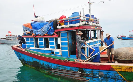 Khánh Hòa: Tăng chế tài xử phạt tàu cá hoạt động vi phạm