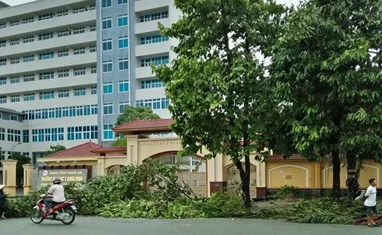 Hà Nội hỗ trợ TP Vinh khắc phục cây đổ sau bão số 2