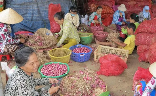 TP.HCM đưa chợ đầu mối thành điểm du lịch