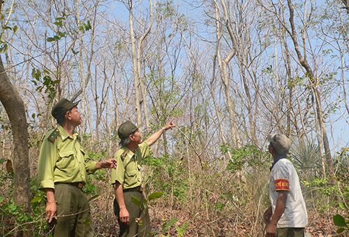 Khánh Hòa: Tăng cường phòng chống cháy rừng tại huyện Khánh Vĩnh