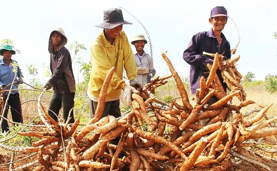 Ninh Thuận: Hỗ trợ đất ở, đất sản xuất cho hộ dân tộc thiểu số