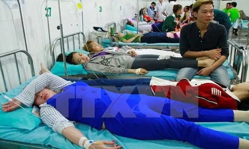 Hơn 500 công nhân ngộ độc ở An Giang: Do thức ăn nhiễm khuẩn