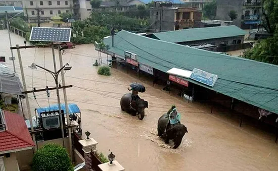 Voi giải cứu hàng trăm người mắc kẹt trong lũ ở Nepal