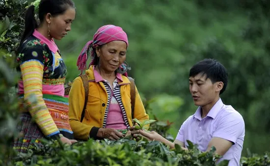 Thu hút trí thức trẻ về xã nghèo: Không chỉ dựa vào phong trào