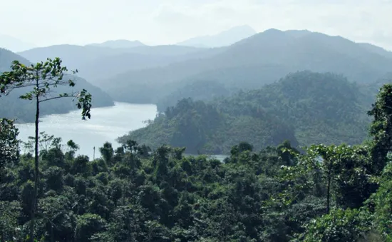 Ký cam kết bảo vệ rừng vùng biên Việt Nam - Lào