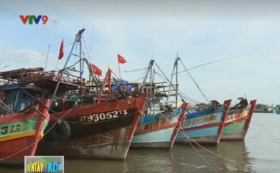 Cà Mau họp trực tuyến với 9 địa phương về ứng phó áp thấp nhiệt đới