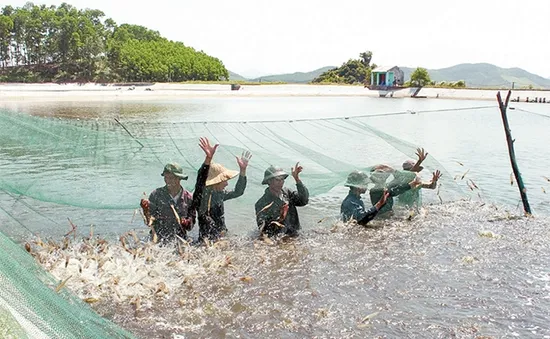 Bảo hiểm nông nghiệp: Mở rộng đối tượng được bảo hiểm, thúc đẩy người tham gia