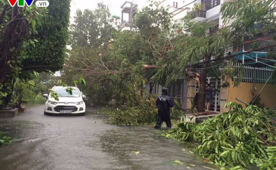 Bão số 12 gây thiệt hại gần 5.000ha hoa màu, hơn 10.000 lồng bè thủy sản