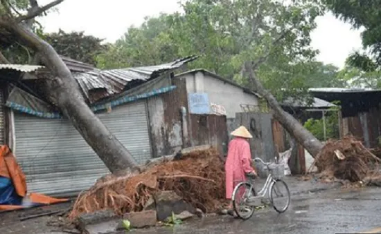 TP.HCM đảm bảo an toàn các công trình trước mùa bão