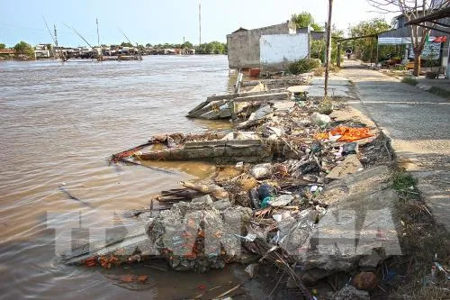 Cá chết ở Đầm Dơi, Cà Mau: Do nguồn nước bị ô nhiễm