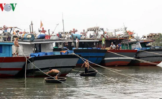 Bình Thuận, TP.HCM cấm tàu thuyền ra khơi