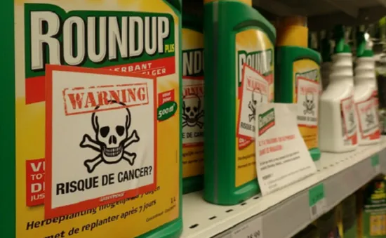 Nghị viện châu Âu bỏ phiếu cấm thuốc diệt cỏ Glyphosate