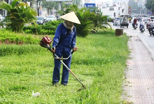 TP.HCM: Tư nhân có thể đấu thầu tham gia dịch vụ công ích