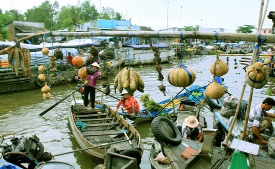 Cần Thơ đẩy mạnh phát triển du lịch sinh thái