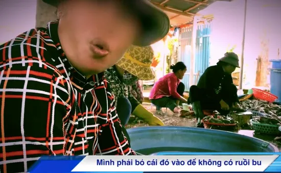 Theo chân phóng viên mục sở thị cá khô ngâm tẩm hóa chất ở làng chài Đất Đỏ