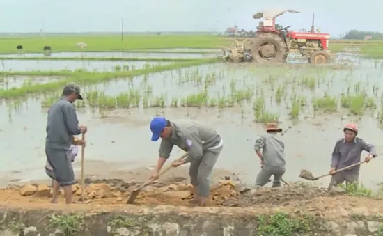 Phú Yên: Khắc phục khẩn cấp kênh mương kịp gieo sạ vụ Đông Xuân