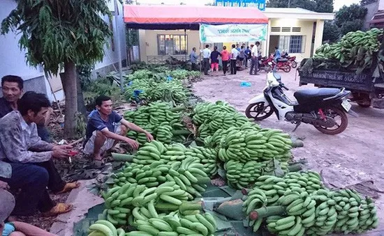 Đài PT-TH Đồng Nai tham dự LHTHTQ 37: “Nóng” trong từng tác phẩm