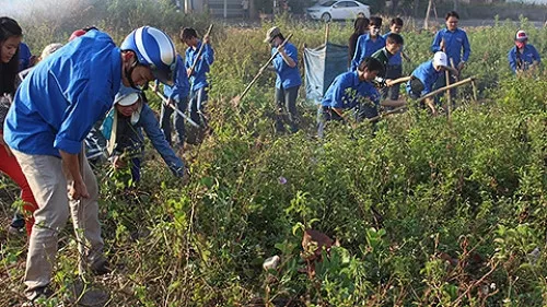 Đà Nẵng ra quân hưởng ứng Tuần lễ Biển và Hải đảo