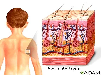 Tây Ban Nha: Độc đáo máy 3D sinh học in da người