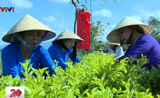 Nghi Xuân - Miền quê của những khúc dân ca