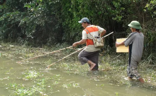 Người dân ĐBSCL vẫn bắt cá bằng xung điện dù bị cấm