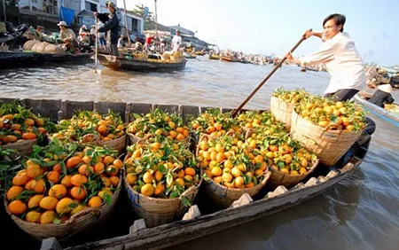 Vẻ đẹp nên thơ và thanh bình của vùng sông nước ĐBSCL