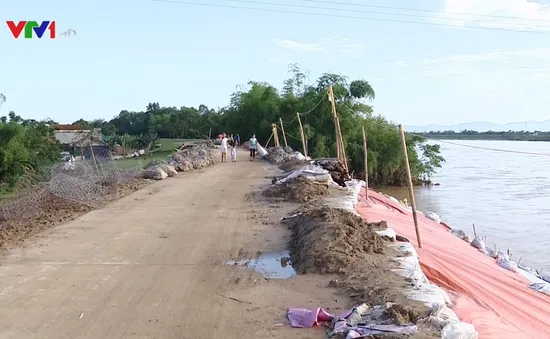 Mưa lũ tại Thanh Hóa, nhiều tuyến đê hư hỏng nghiêm trọng